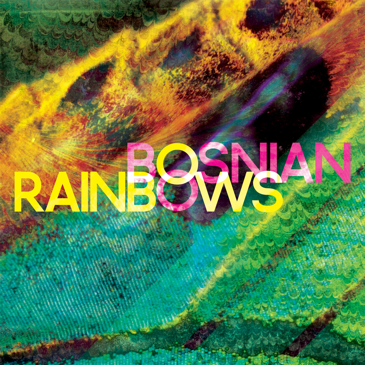 Bosnian Rainbows: Album Cover