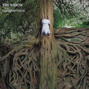 The Widow [Single]